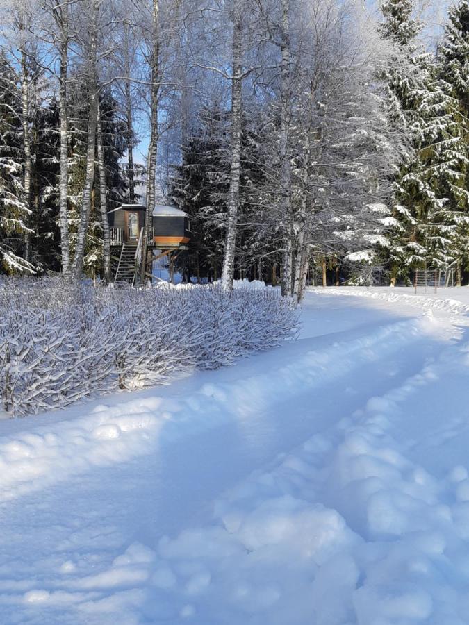 Spa Glamping Kirikumoisa Экстерьер фото
