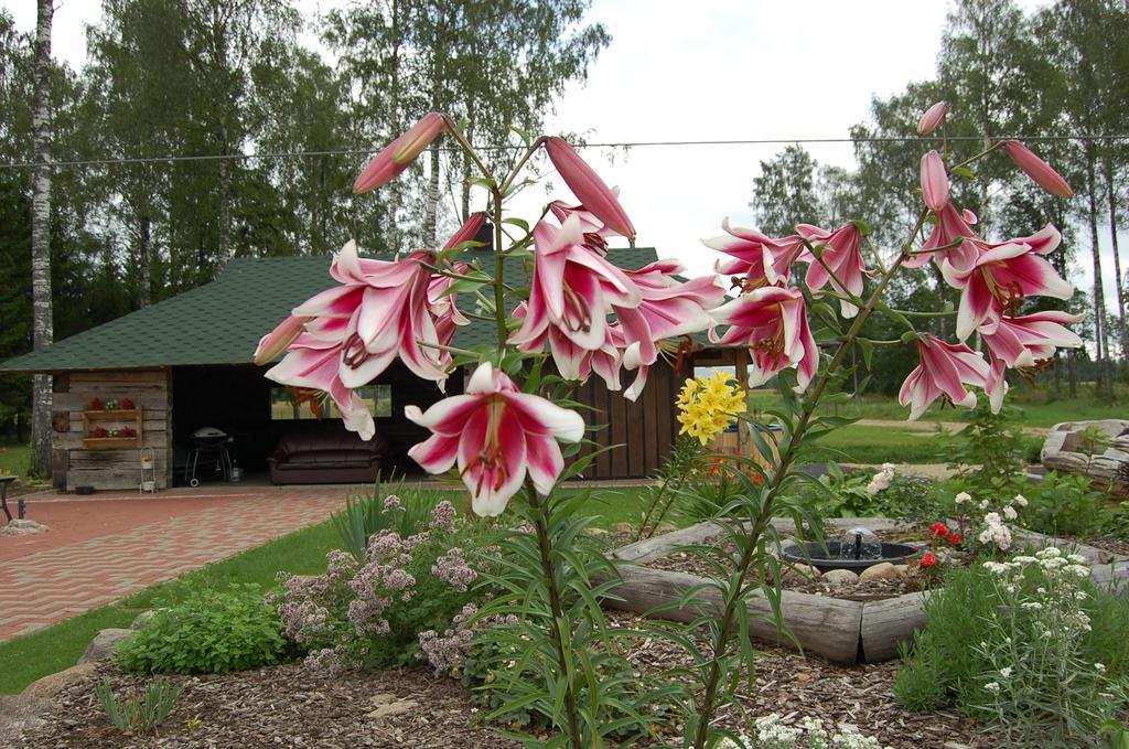 Spa Glamping Kirikumoisa Экстерьер фото